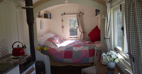 Hut in the Sheepwash interior