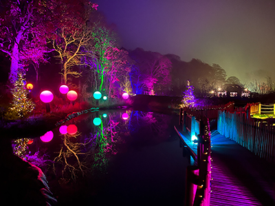 BeWILDerwood Cheshire Christmas Lights Trail