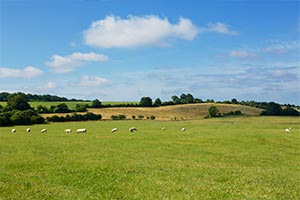 Hampshire South Downs