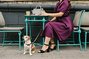 dog with lady sat outside at a table - City Breaks