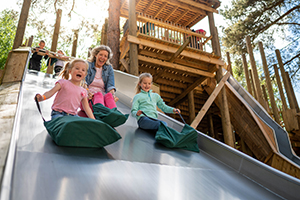 online savings at Bewilderwood Cheshire - family on a slide