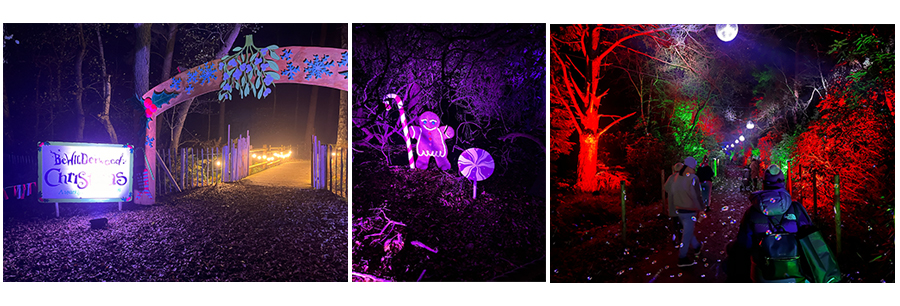 BeWILDerwood Cheshire Christmas Lights Trail