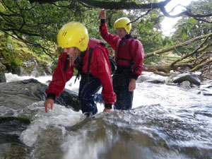 Joint Adventures - Not just about The Tea Shops