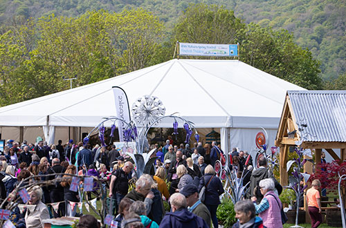 RHS Malvern - Flower shows 2020