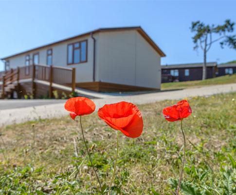 Shearbarn Holiday Park